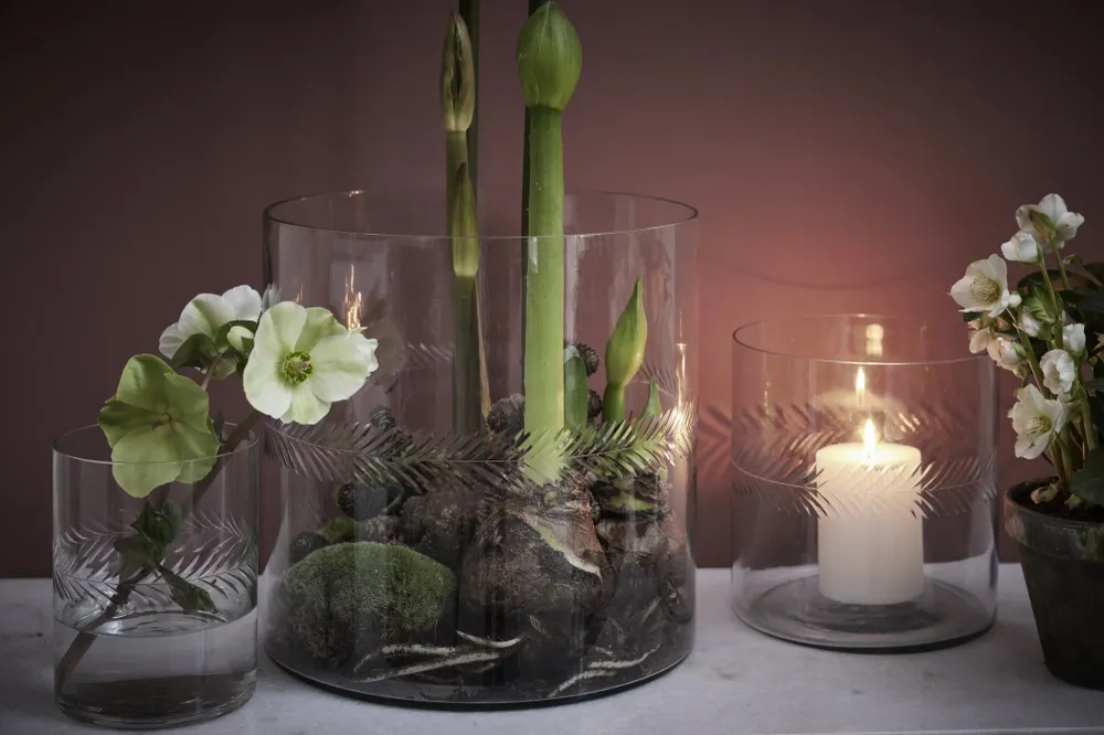 Carla vase H30 cm. transparent